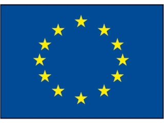 EUROP FLAG 20X30