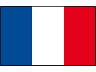 FRANCE FLAF 20X30