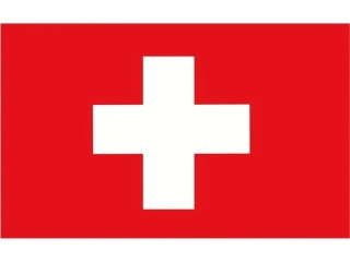 SWISSFLAG 20X30