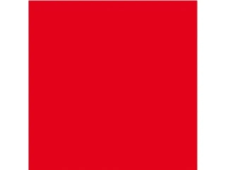 BODENSEE NOTVLAG 60X60