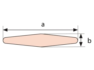PLACHTA LATU 15X3MM 2M