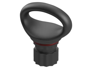 Eliptický prsten Borika