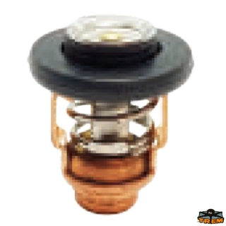 Termostat HONDA