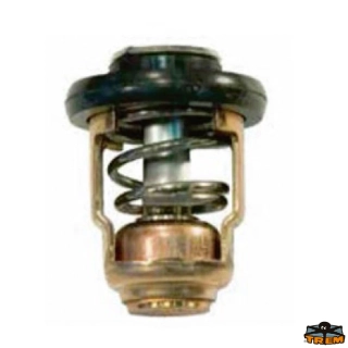 TERMOSTAT YAMAHA OEM 66M-12411-00